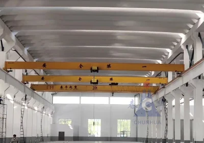 LDC European Single Girder Crane10