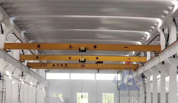 LDC European Single Girder Crane10