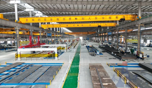 LDC European Single Girder Crane17