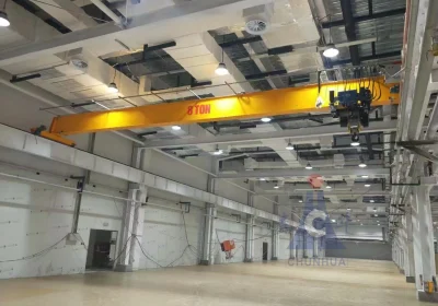 LDC European Single Girder Crane4